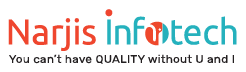 Narjis Infotech Ecommerce Product